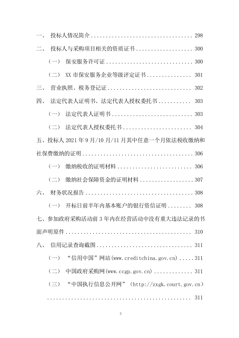 市容管理及综合安保项目方案(338页) 第3页