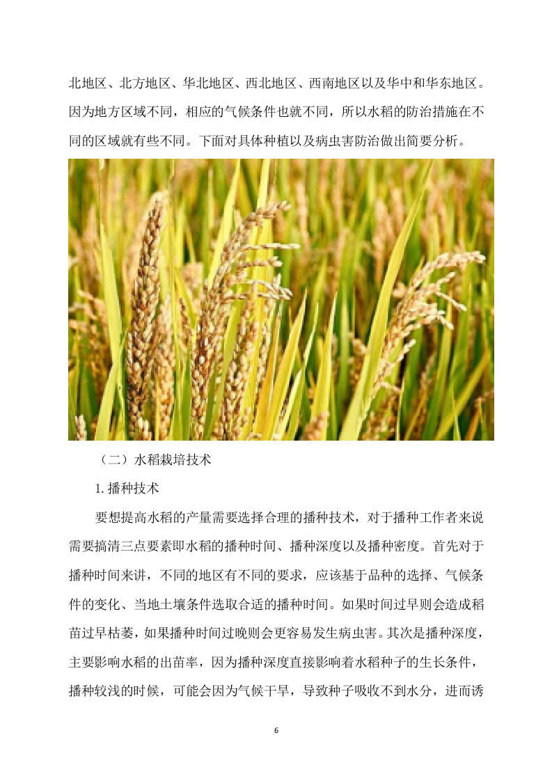 水稻病虫害统防统治项目方案（529页） 第6页