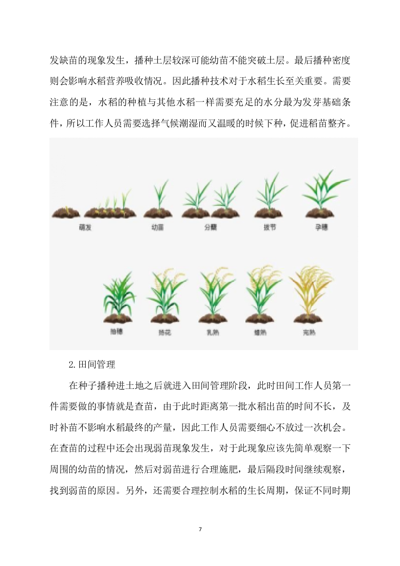 水稻病虫害统防统治项目方案（529页） 第7页