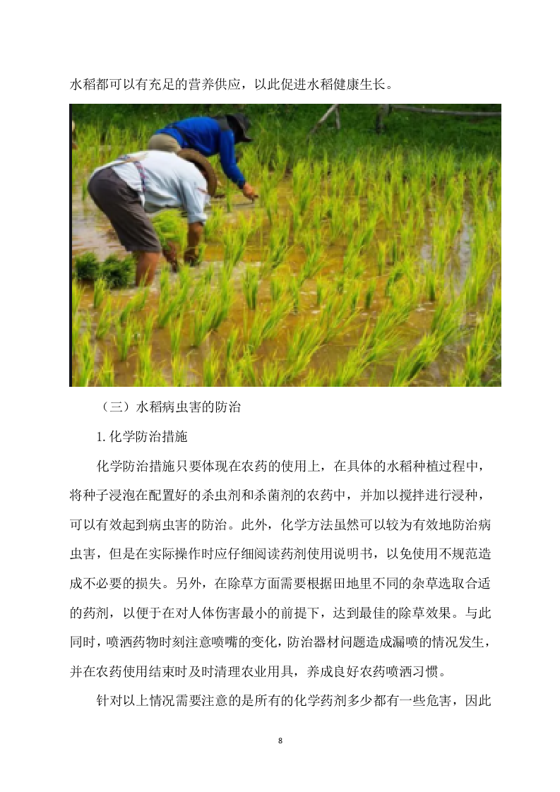 水稻病虫害统防统治项目方案（529页） 第8页