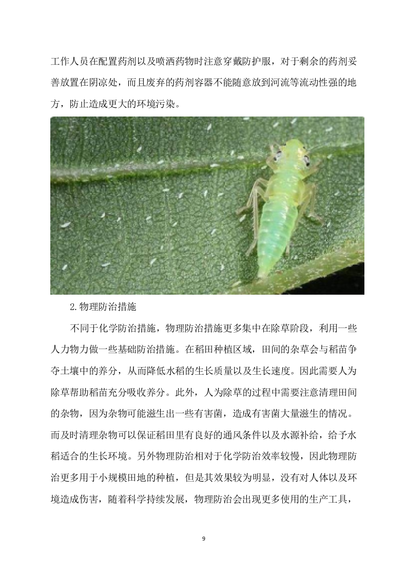 水稻病虫害统防统治项目方案（529页） 第9页