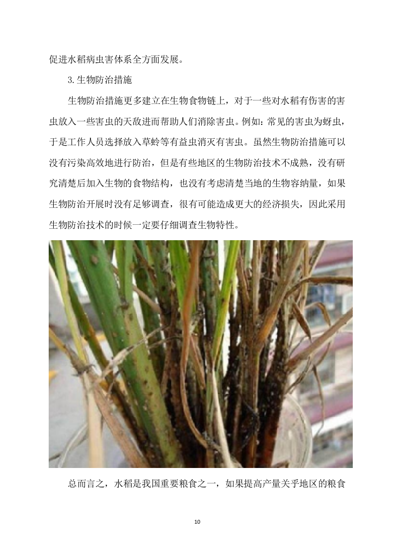 水稻病虫害统防统治项目方案（529页） 第10页