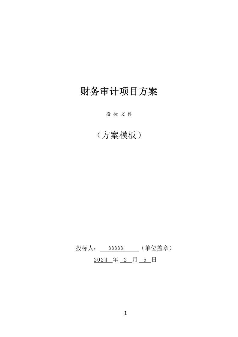 财务审计项目方案（320页） 第1页