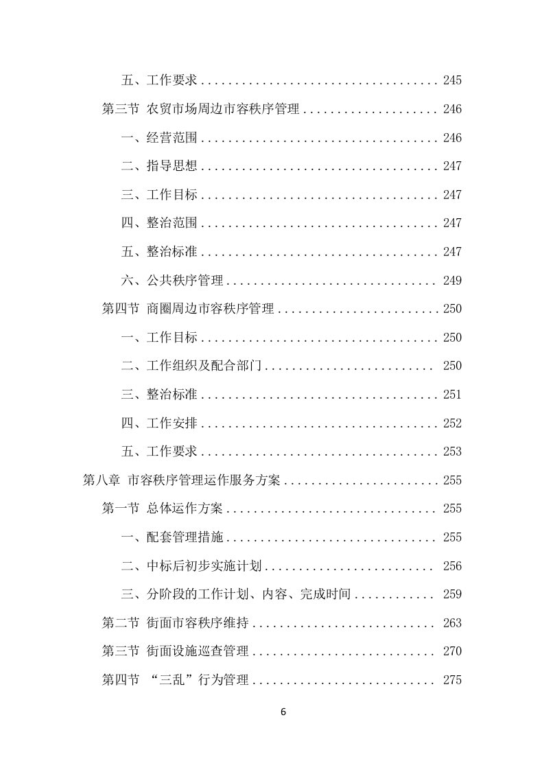 市容秩序辅助管理项目方案（400页） 第6页