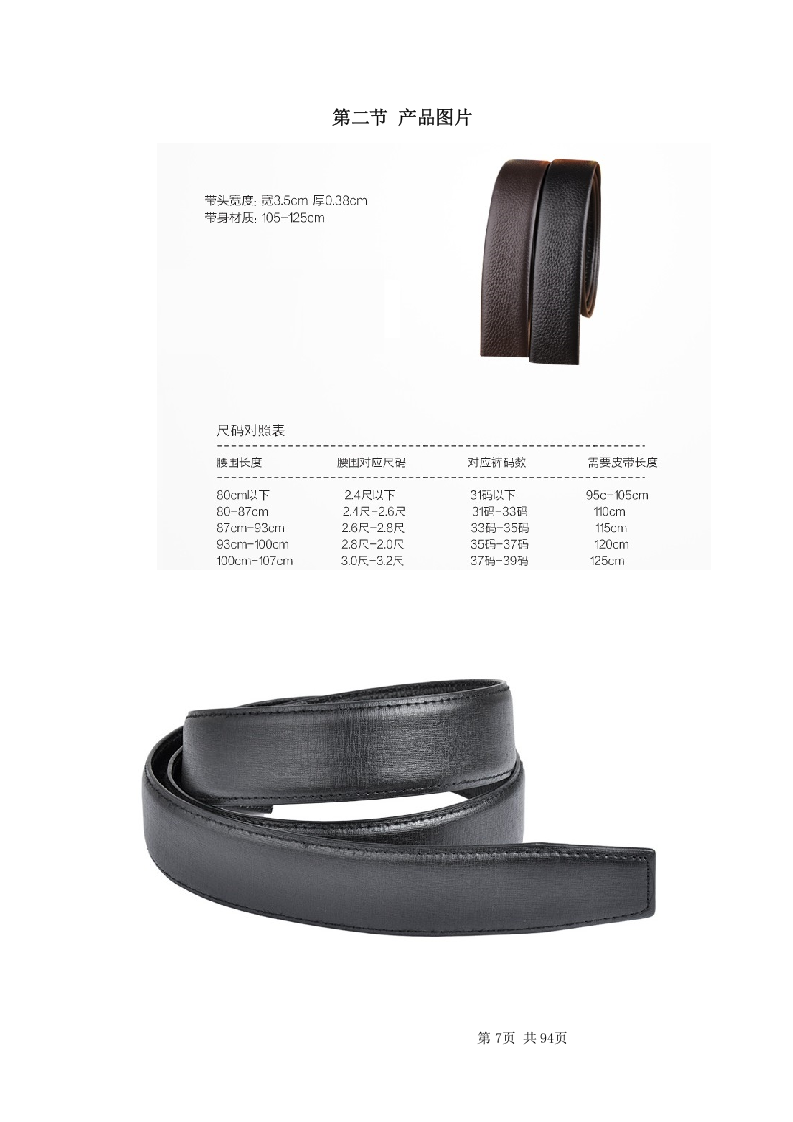 皮带采购项目方案（94页） 第7页