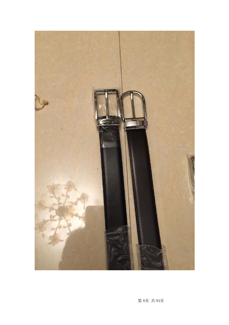 皮带采购项目方案（94页） 第8页