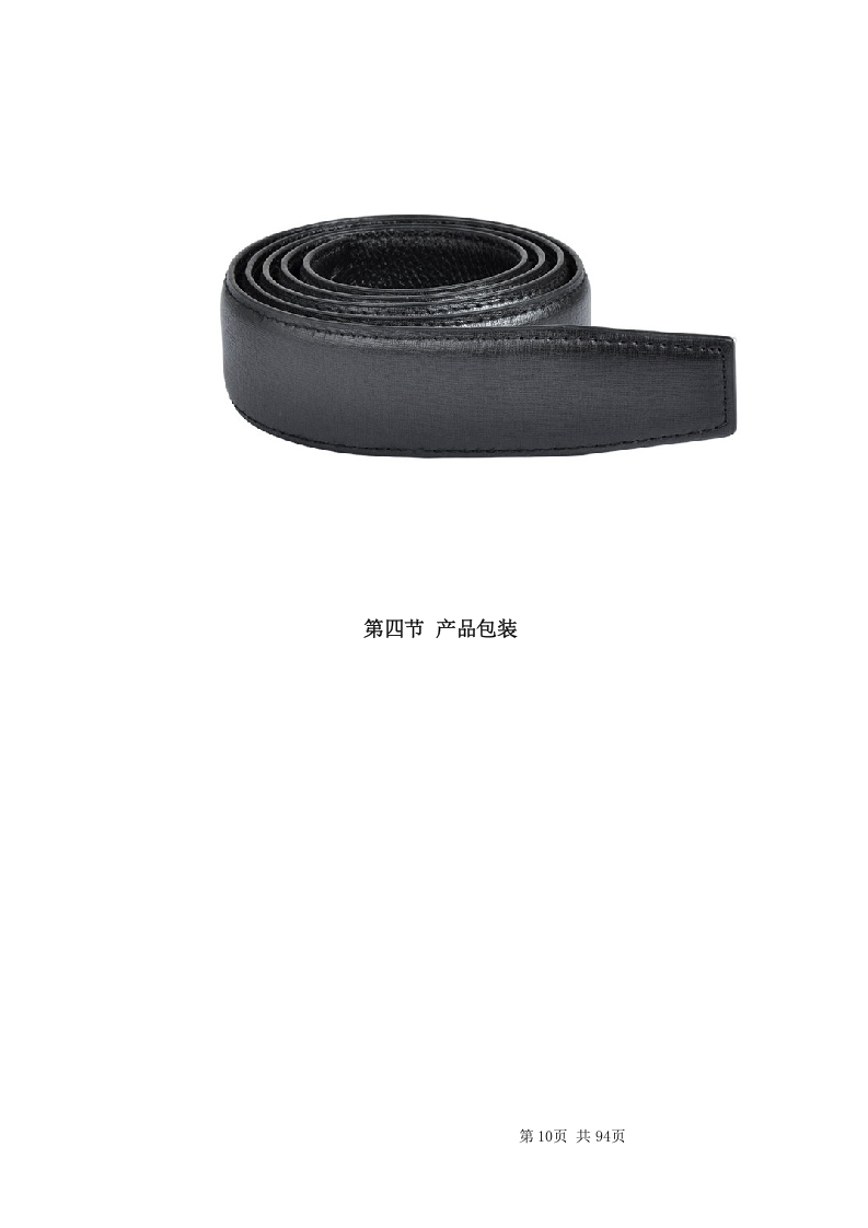 皮带采购项目方案（94页） 第10页