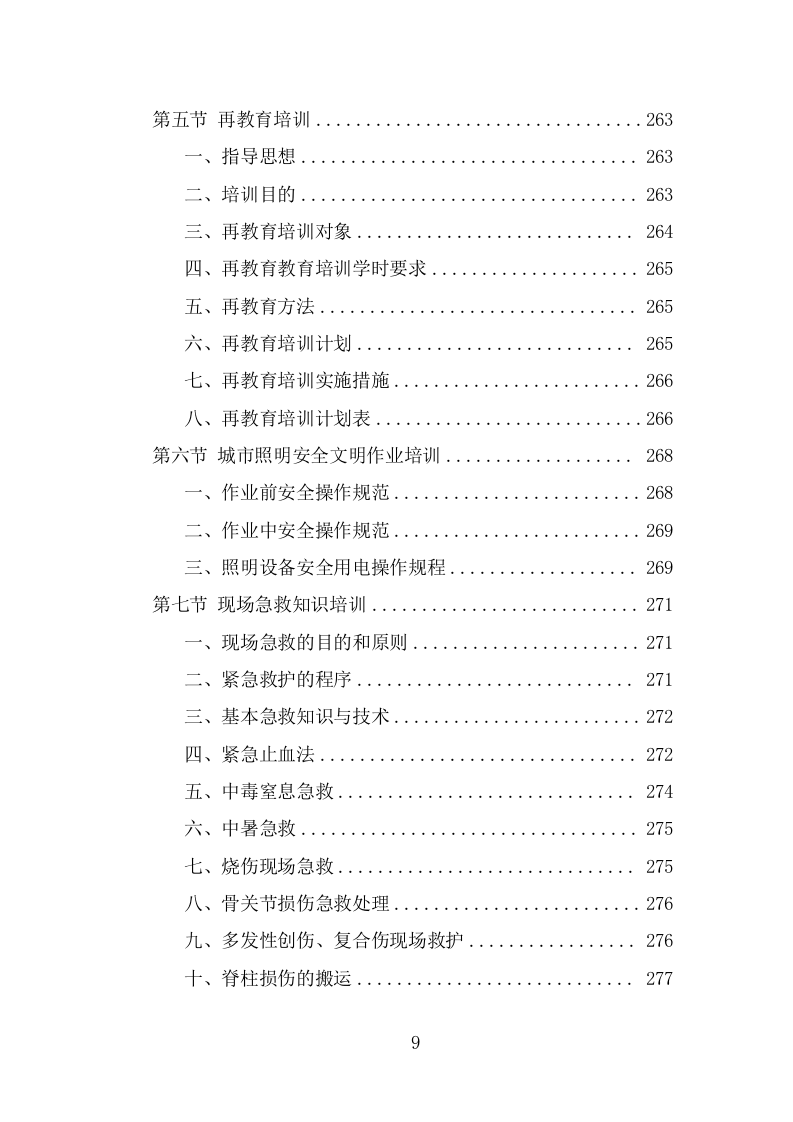 城市照明养护劳务派遣项目服务方案（379页） 第9页