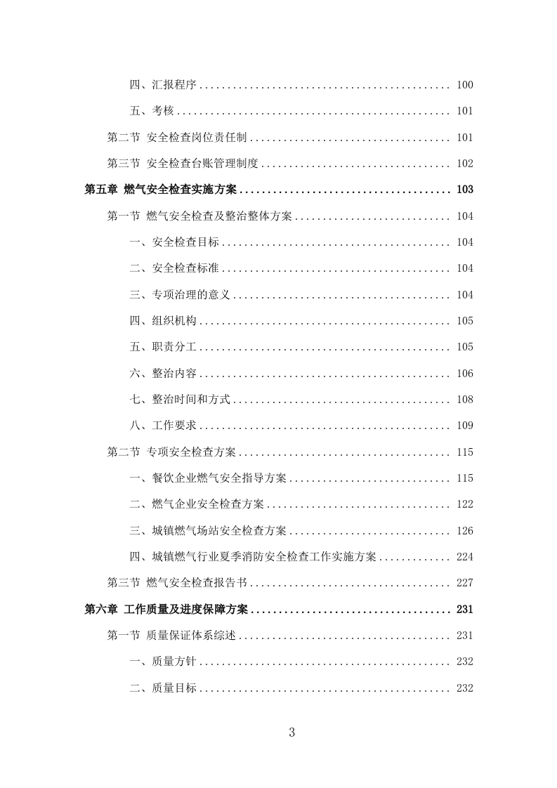 燃气安全检查投标方案（309P） 第3页