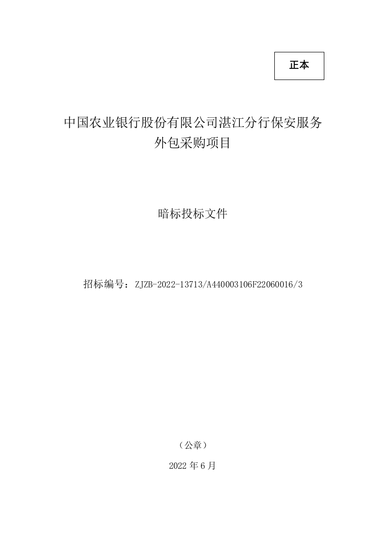 保安技术方案（607P） 第1页