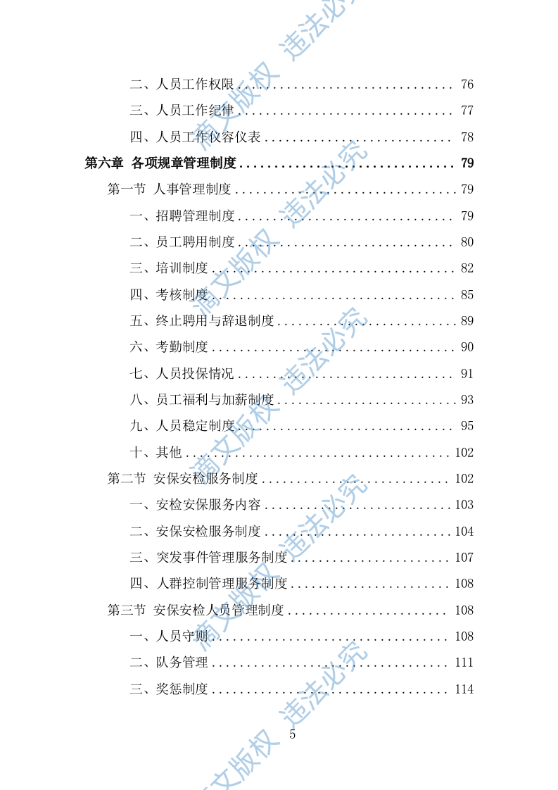 音乐节安保及安检服务投标方案（316页） 第5页