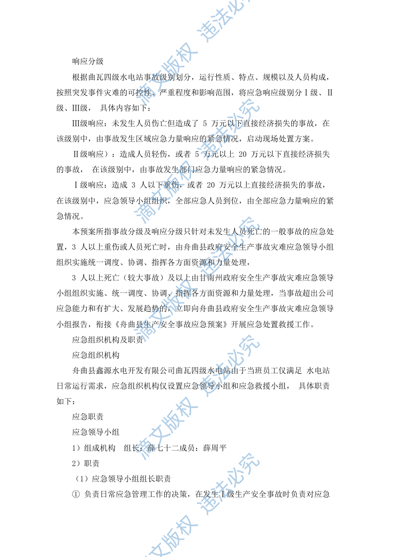 水电站生产安全事故应急预案（90P） 第2页