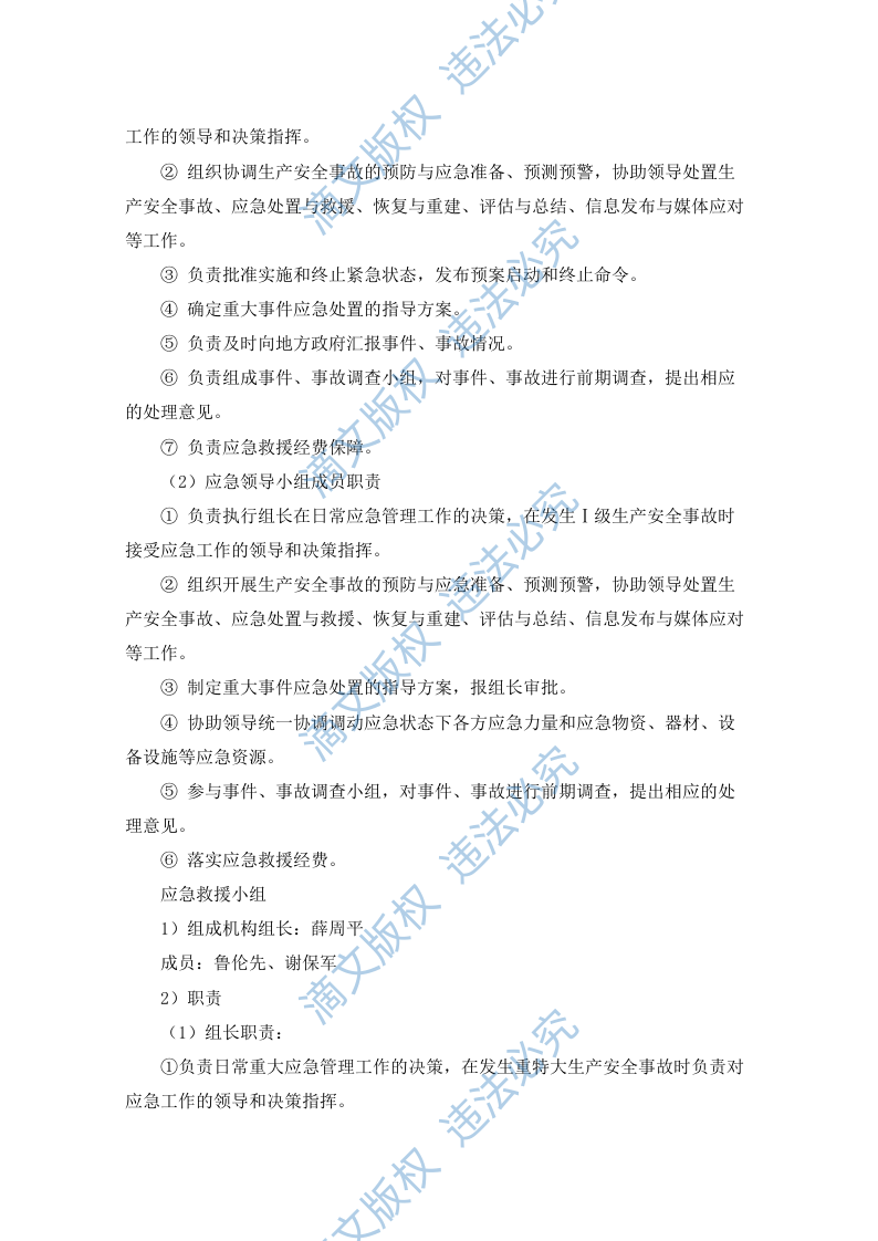 水电站生产安全事故应急预案（90P） 第3页