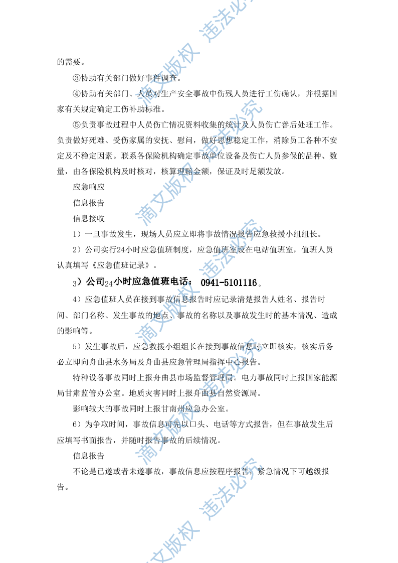 水电站生产安全事故应急预案（90P） 第5页