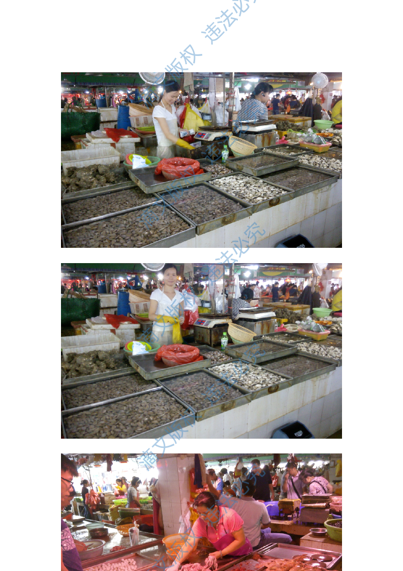 食材配送投标文件91 第9页