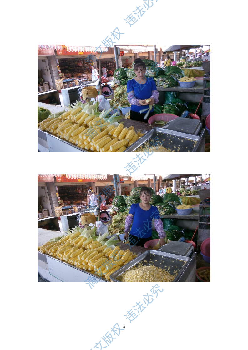 食材配送投标文件91 第10页