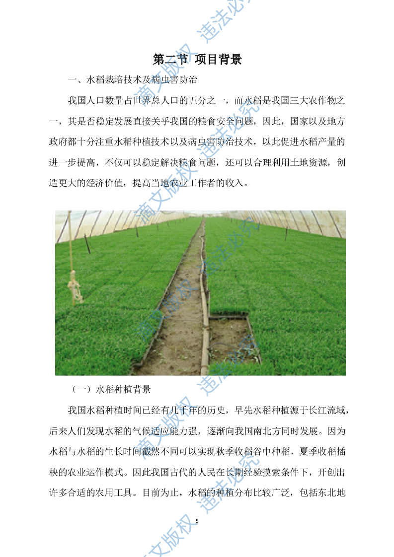 水稻病虫害统防统治投标方案模板（531） 第5页