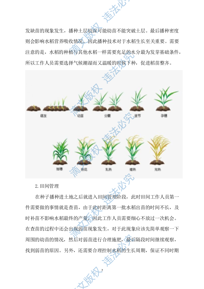 水稻病虫害统防统治投标方案模板（531） 第7页