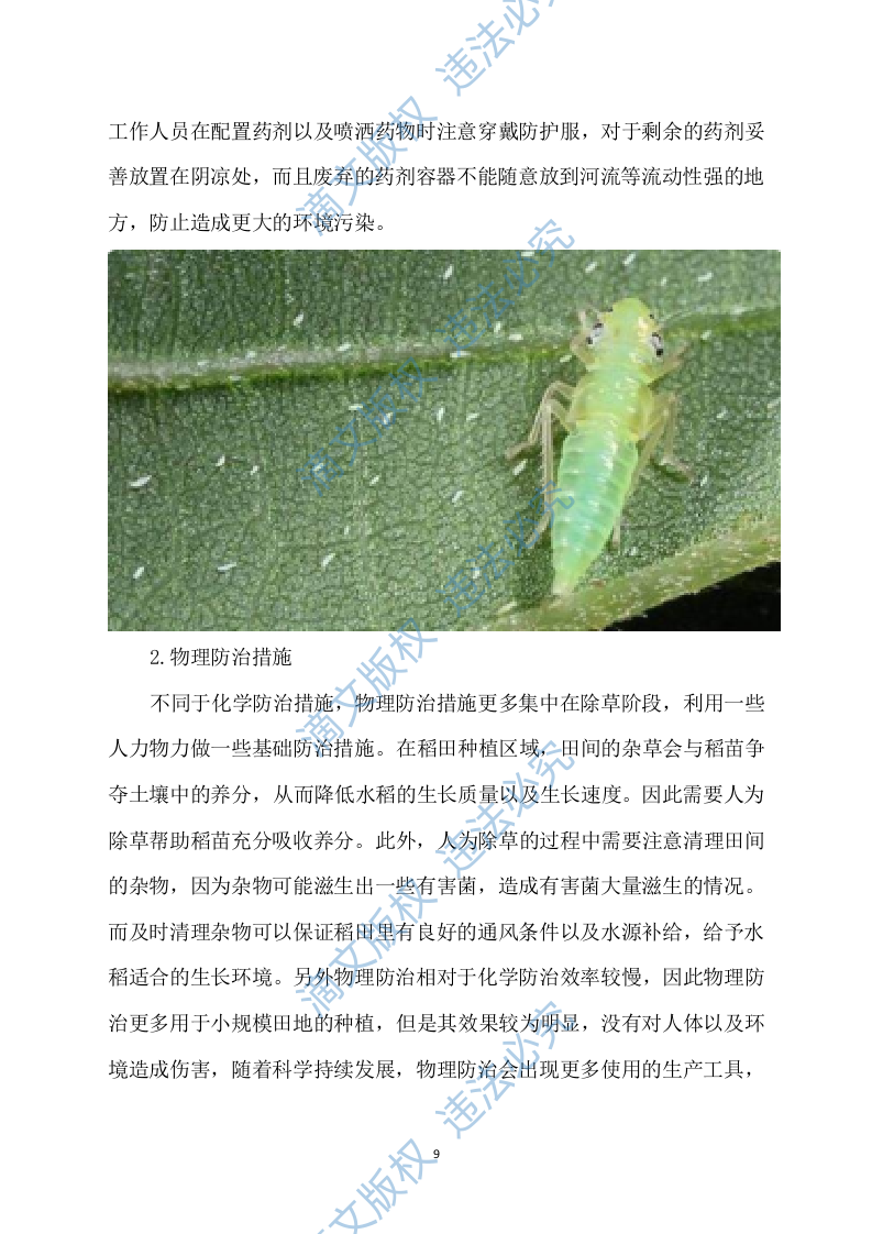 水稻病虫害统防统治投标方案模板（531） 第9页