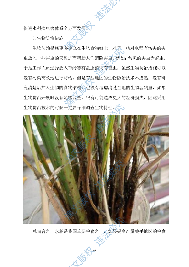 水稻病虫害统防统治投标方案模板（531） 第10页