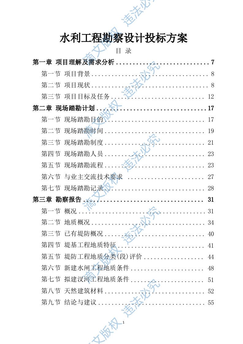 水利工程勘察设计投标方案730 第1页