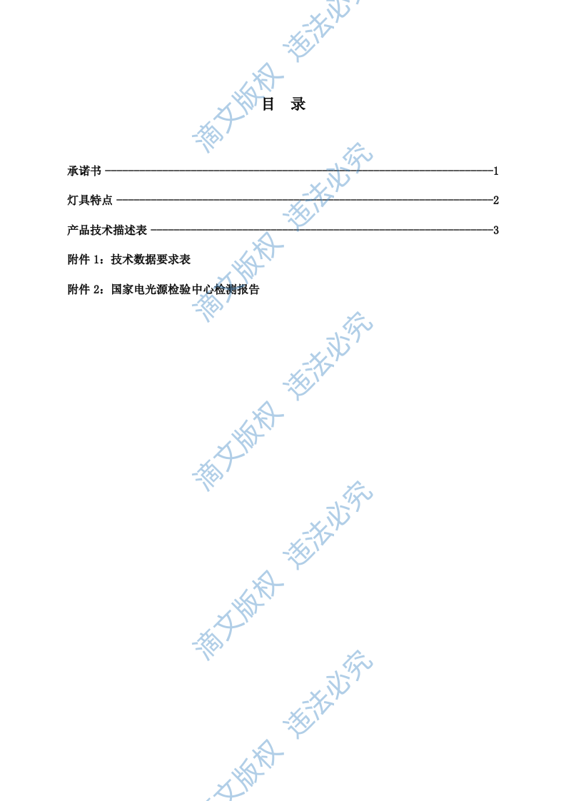 LED灯具节能改造投标文件技术部分27页 第2页