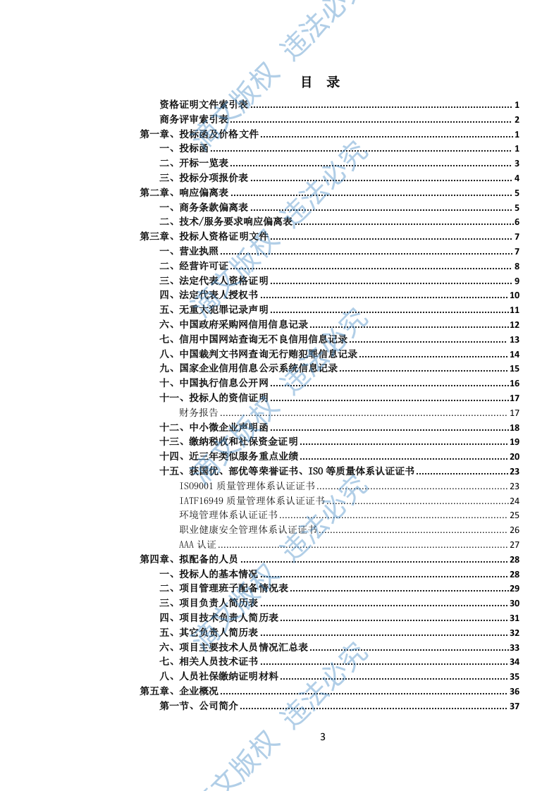 城市道路、公共广场清扫保洁作业服务投标文件（973页） 第4页