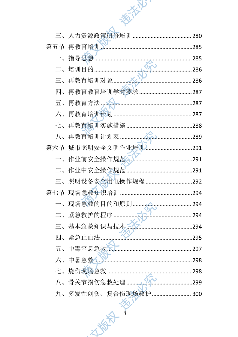 城市照明养护劳务派遣投标方案（412页） 第8页