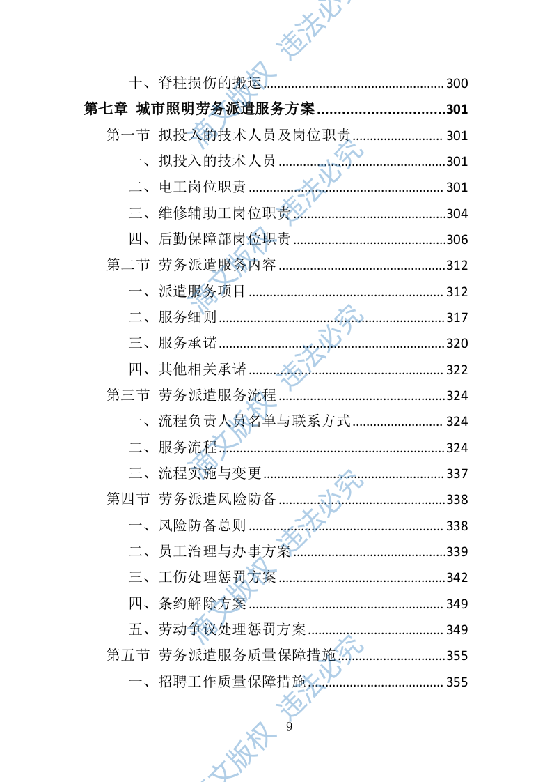 城市照明养护劳务派遣投标方案（412页） 第9页